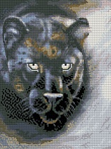 картинка Алмазная мозайка без подрамника Пантера  30х40 от магазина