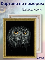 картинка Картина по номерам на подрамнике Взгляд Ночи 40х50  от магазина