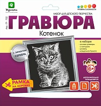 картинка Гравюра Котенок с эффектом серебра 18*19 см от магазина