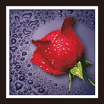 картинка Алмазная мозайка без подрамника Красная роза 25х25 от магазина