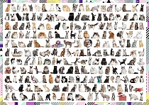 картинка 208 кошек, 1000 деталей, Trefl от магазина